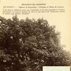 Le chne Lamartine  Saint-Point (6 Fi 9359) et portrait du pote en 1828 (2 Fi 2/43)