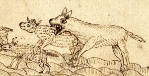 Un loup attaque des moutons, dessin  l'encre sur la couverture d'un cahier de minutes notariales (3 E 30524) 