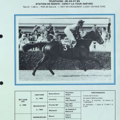 Rglement des socits hippiques rurales et photographie de jockey en selle (4 ETP 821 et 422, 19me-20me sicle) Page 3/3