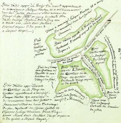 Bois dpendant de l'vch d'Autun, 1693 (2G393) 