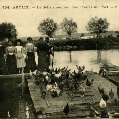 Artaix, le dbarquement des poules au port (20 Fi 3372)